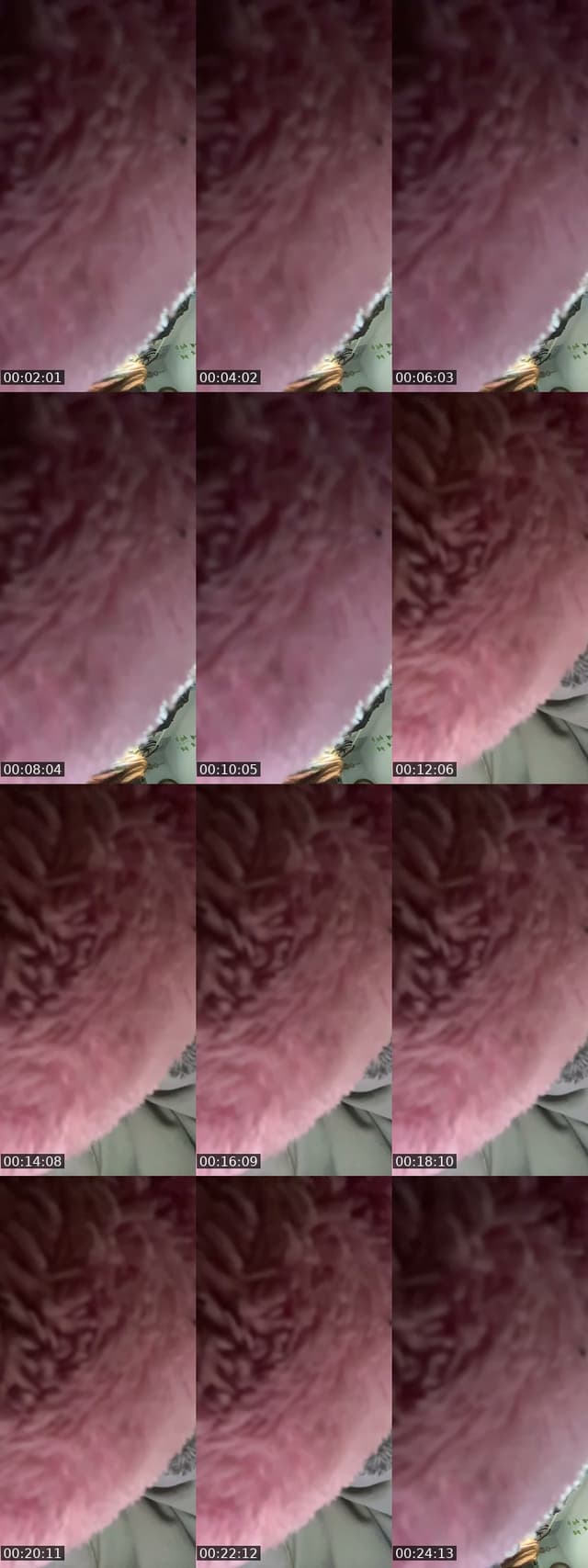 @bug_ho3 TikTok live from 2026-07-09