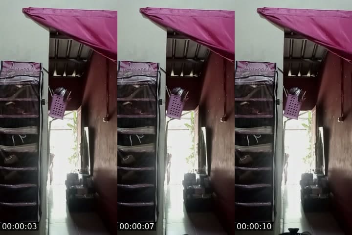 haloo