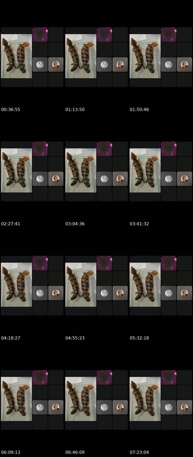 @ericaeverywhere70 TikTok live from 2026-07-09
