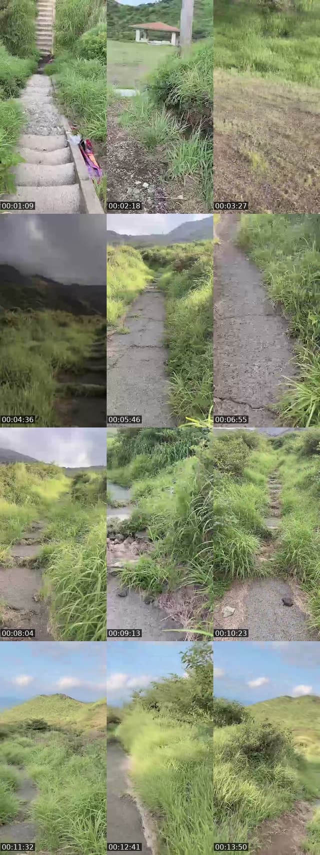 Japan TikTok live: 17:28まで！ by @user3427178563168