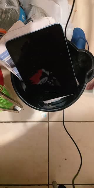 @taramania12 TikTok live stream
