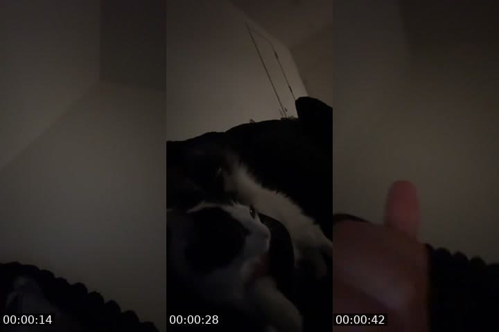 @bbyyyylizzzz TikTok live stream
