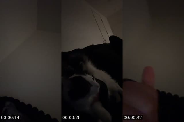 @bbyyyylizzzz TikTok live