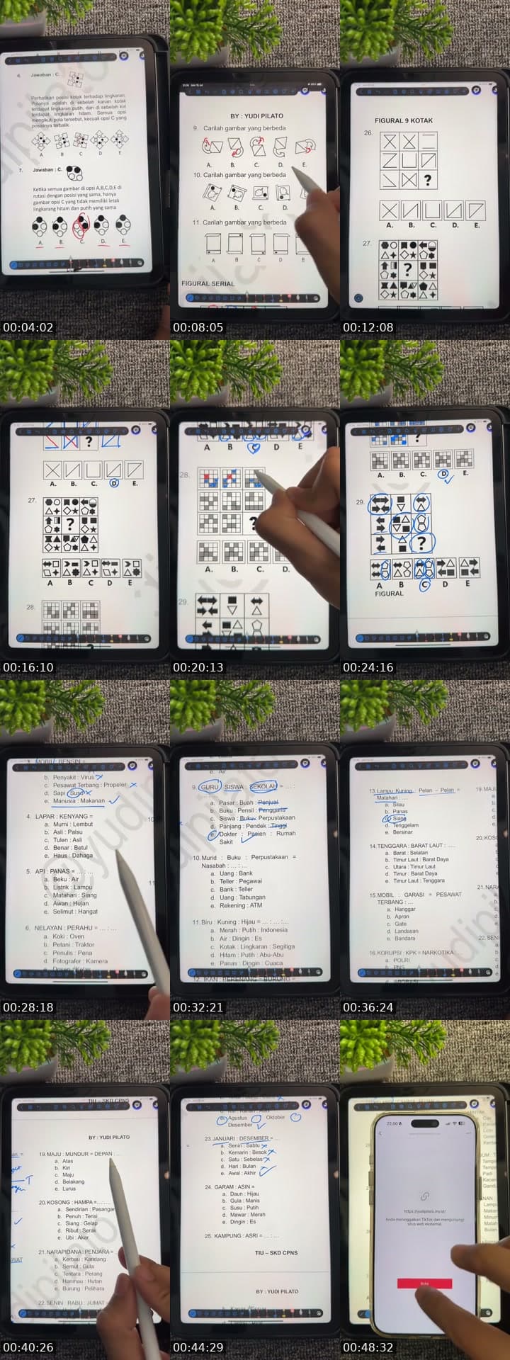 @yudipilato TikTok live stream