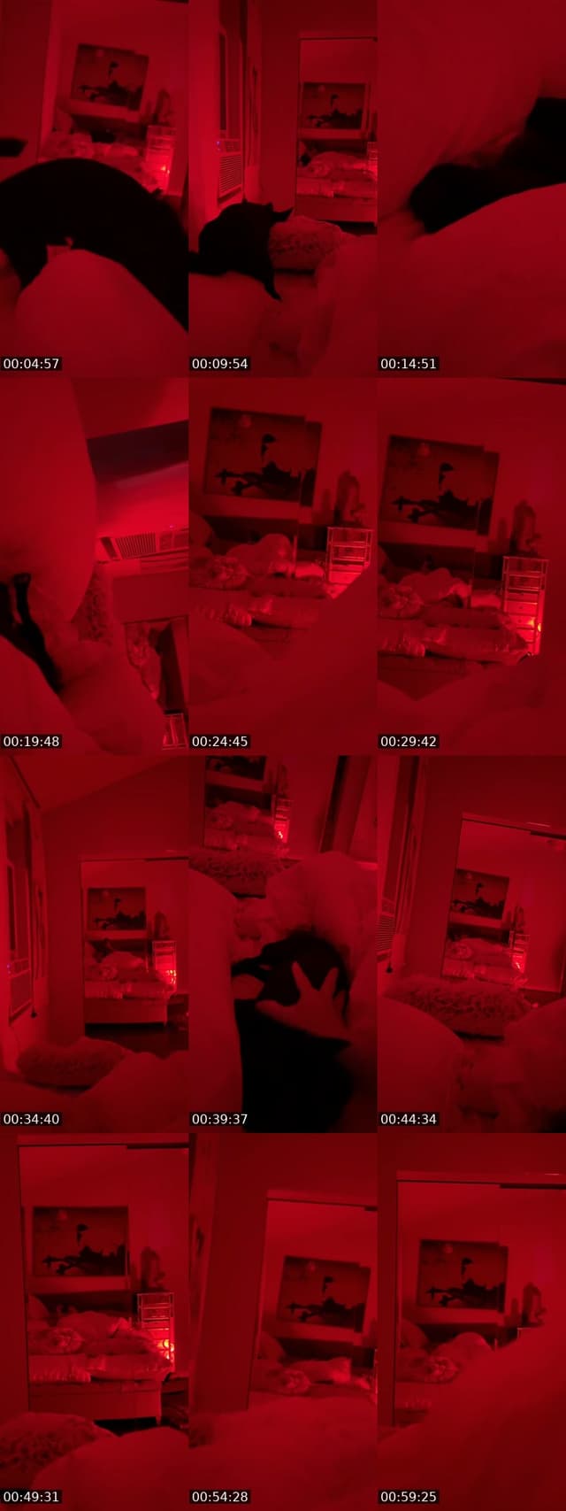 TikTok live: Samurai Meditation by @star_love_angel