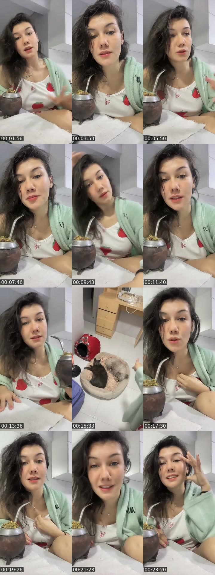 @steffywyder TikTok live stream