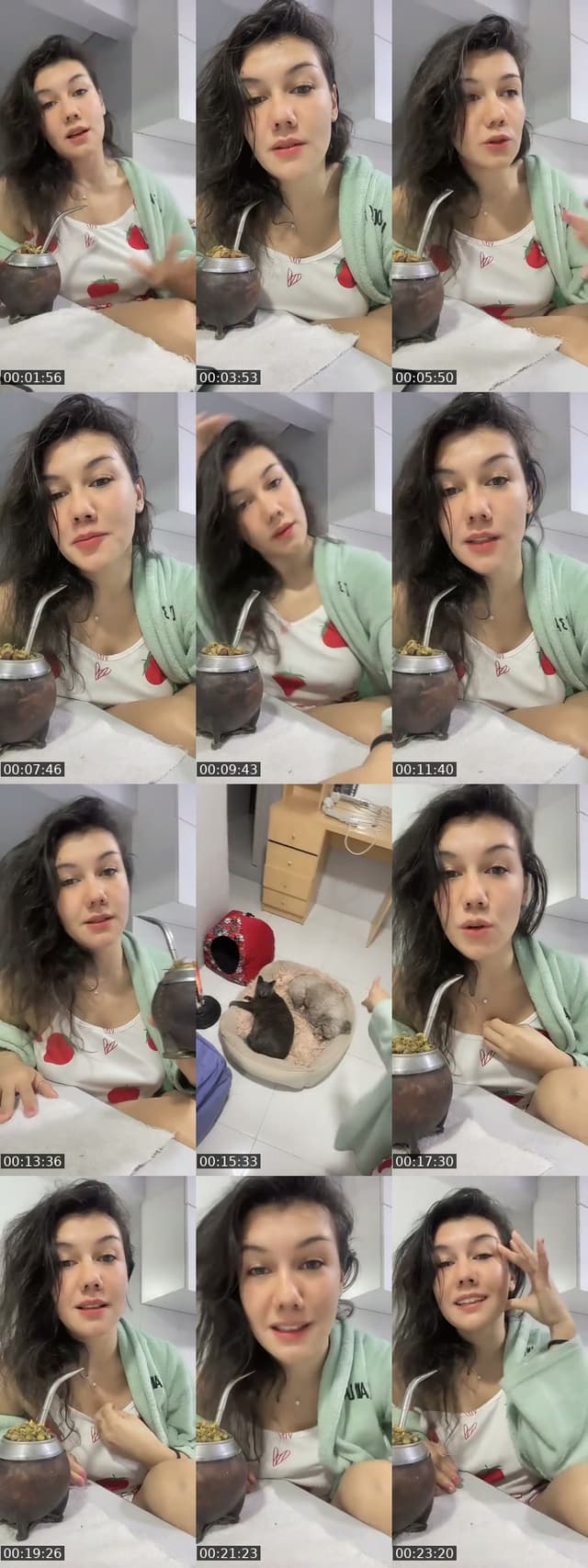 @steffywyder TikTok live
