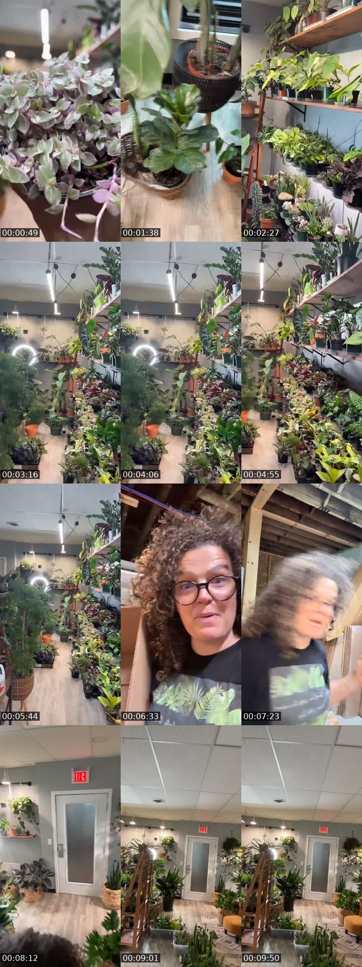 @rootedplantshop TikTok live stream