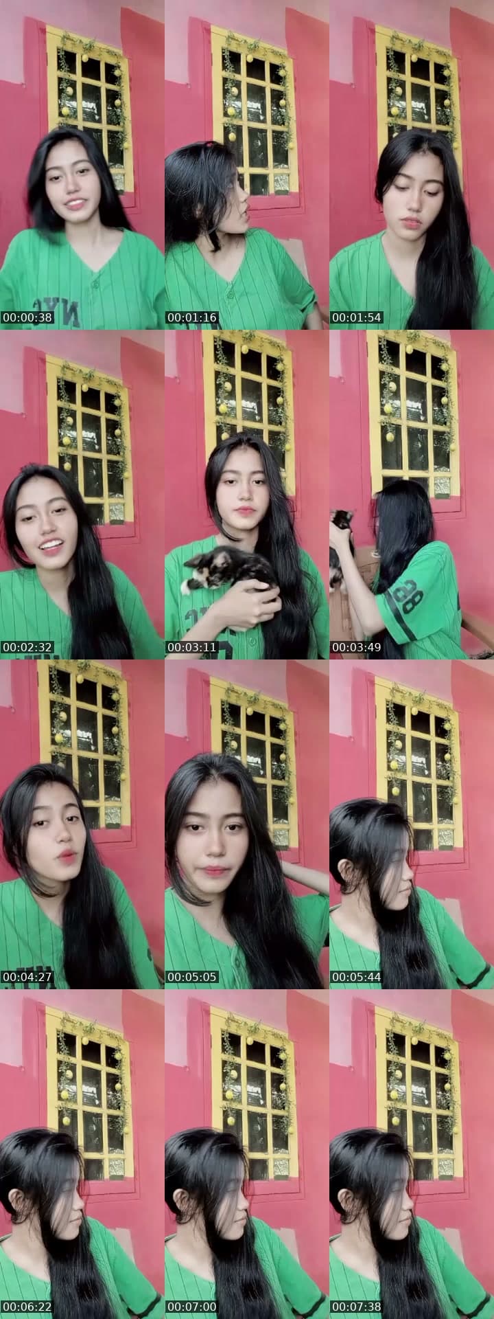 haloo