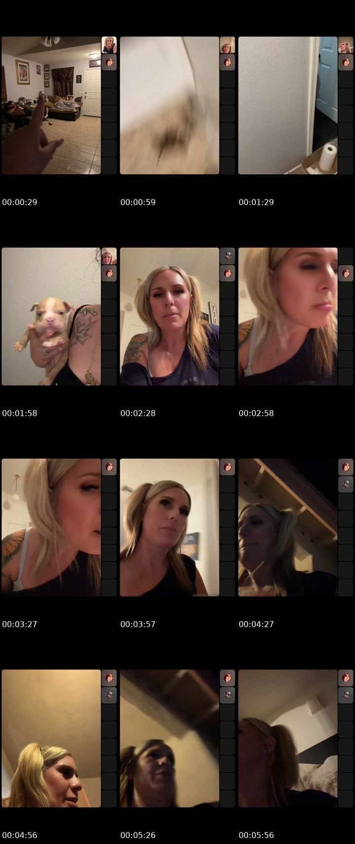 @520lauren TikTok live stream
