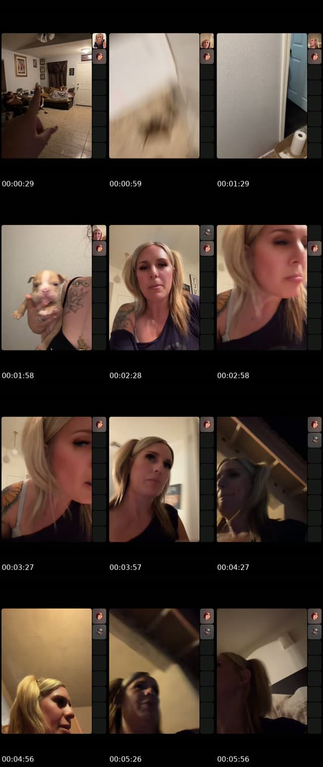 @520lauren TikTok live from 2026-07-11