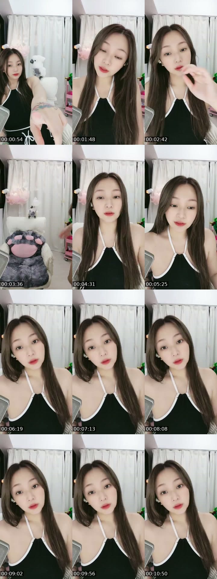七月壽星小蜜蜂