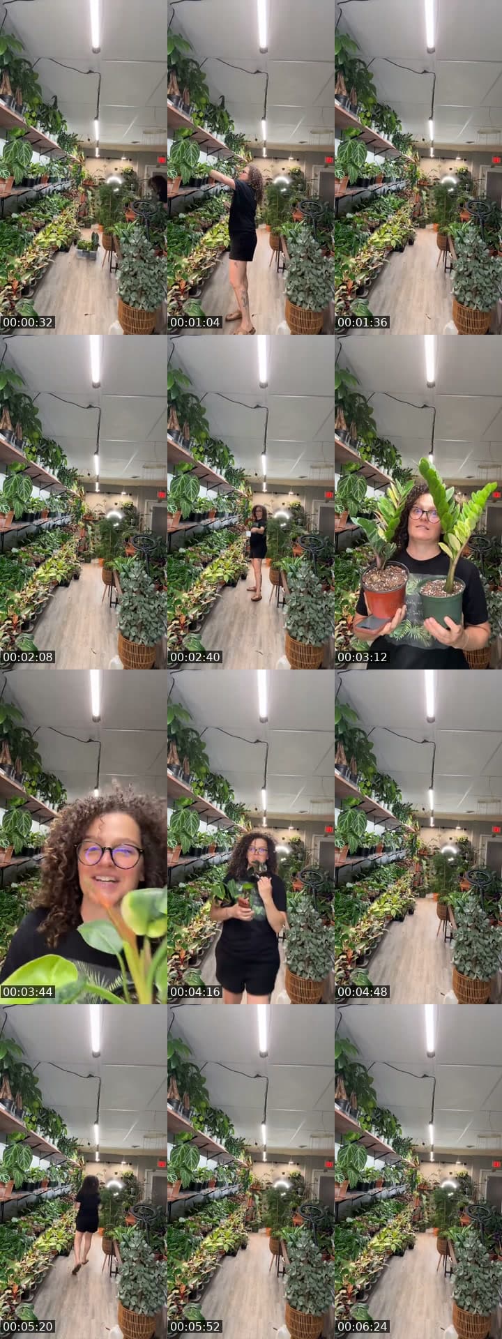 @rootedplantshop TikTok live stream