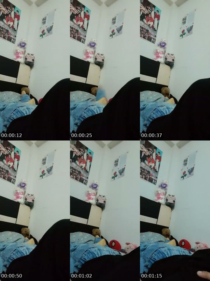 Holi
