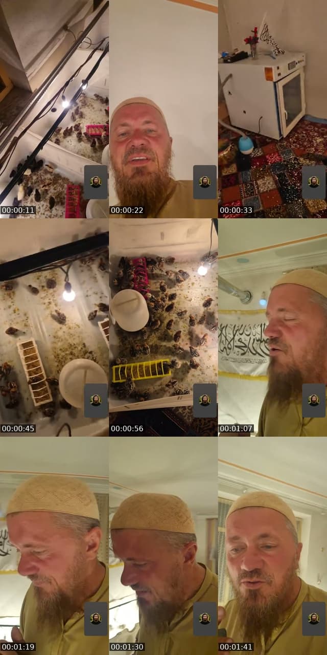 @jeanlouislesoumis TikTok live