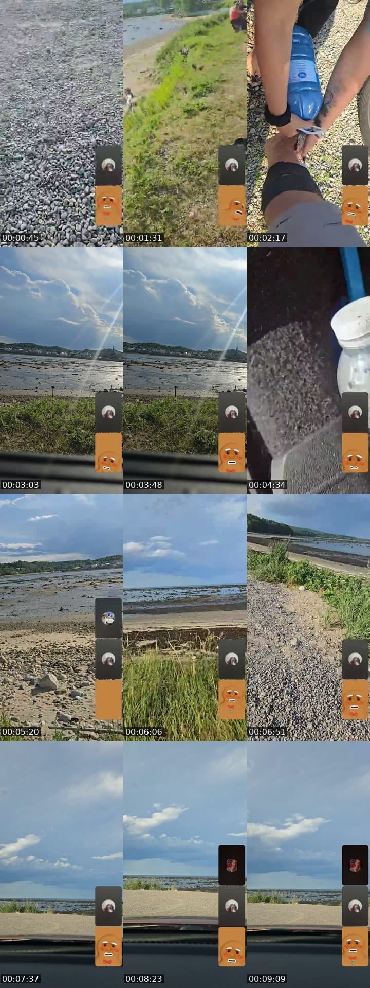 @daveqc1 TikTok live stream