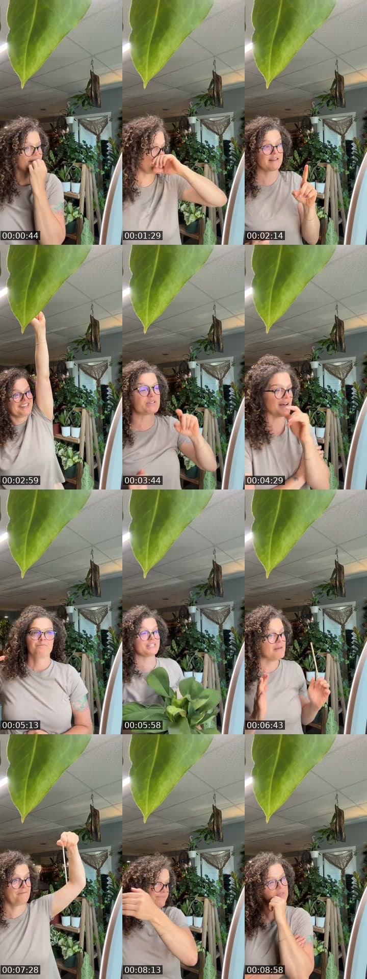 @rootedplantshop TikTok live stream
