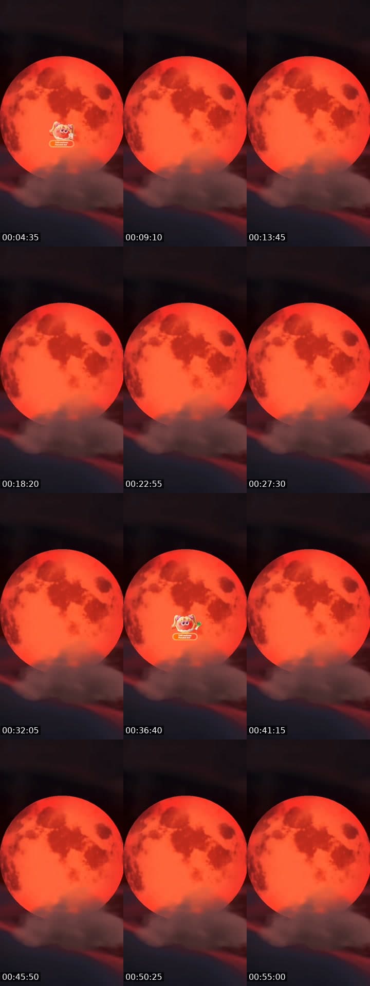 püppi...