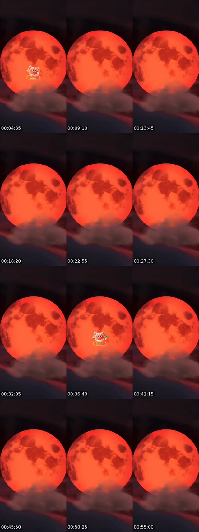TikTok live: püppi... by @xxxderspender88xxx