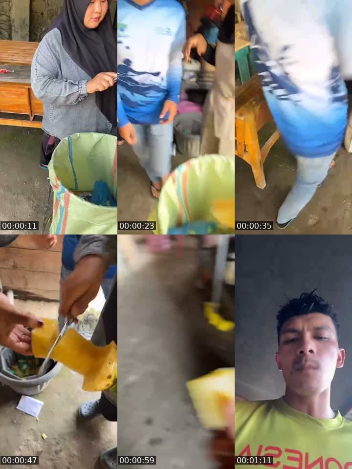 Ada buaya