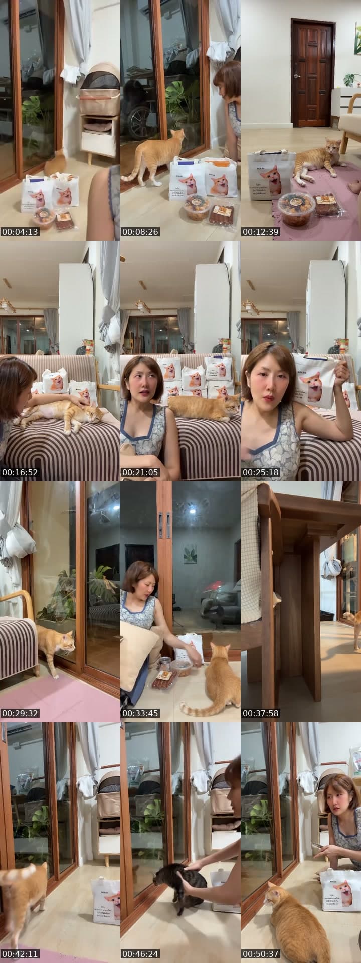 @tuazorfamily TikTok live stream
