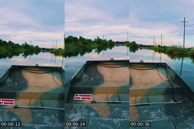 Swamp - @guadalupedoll