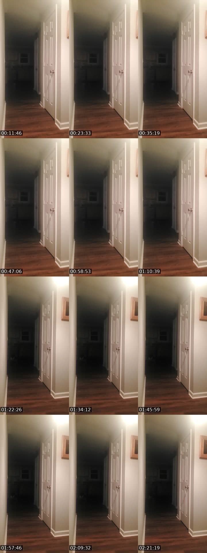 basement door watch