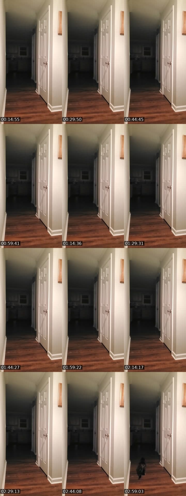 basement door watch