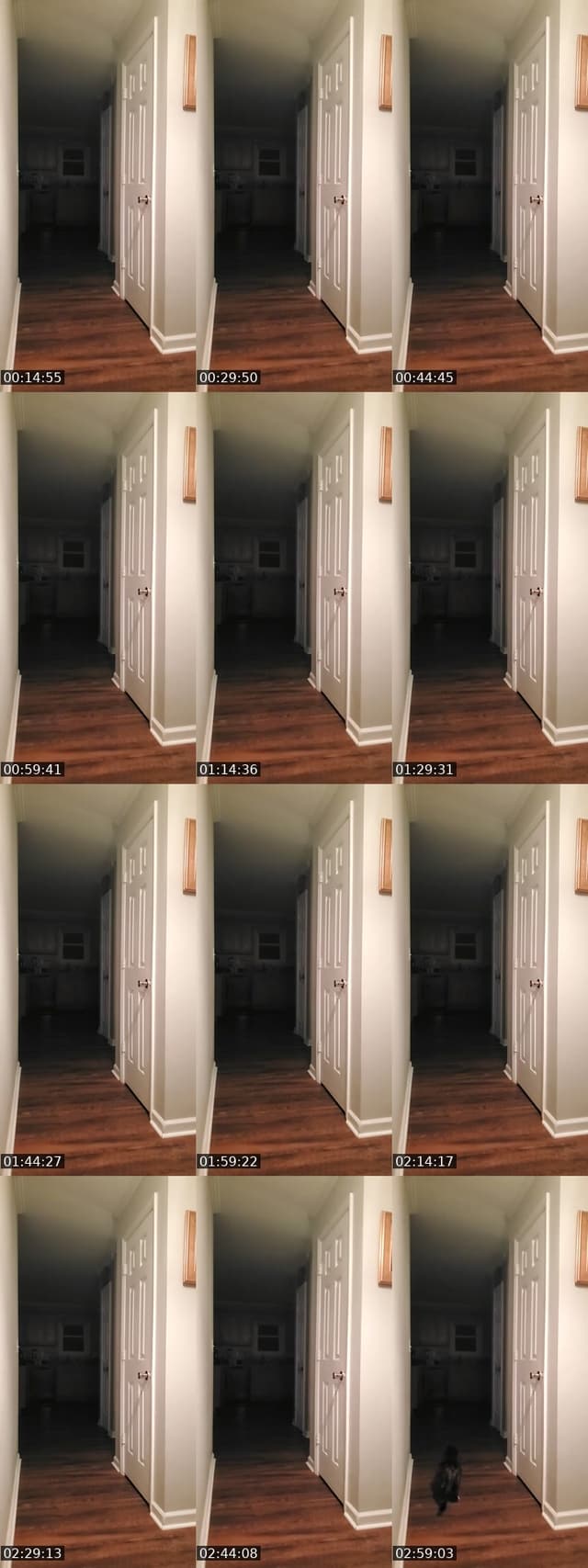 basement door watch - @authorkyleanthony