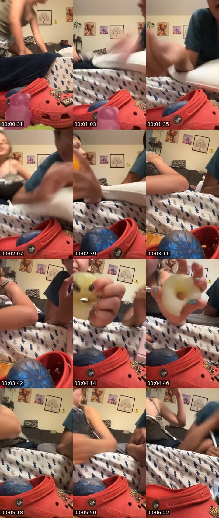 @maple.dogs3 TikTok live stream