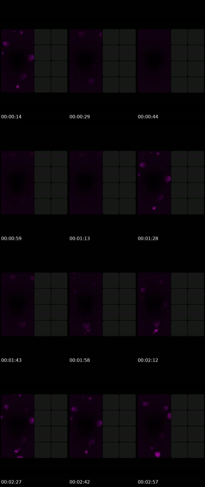 @ericaeverywhere70 TikTok live stream