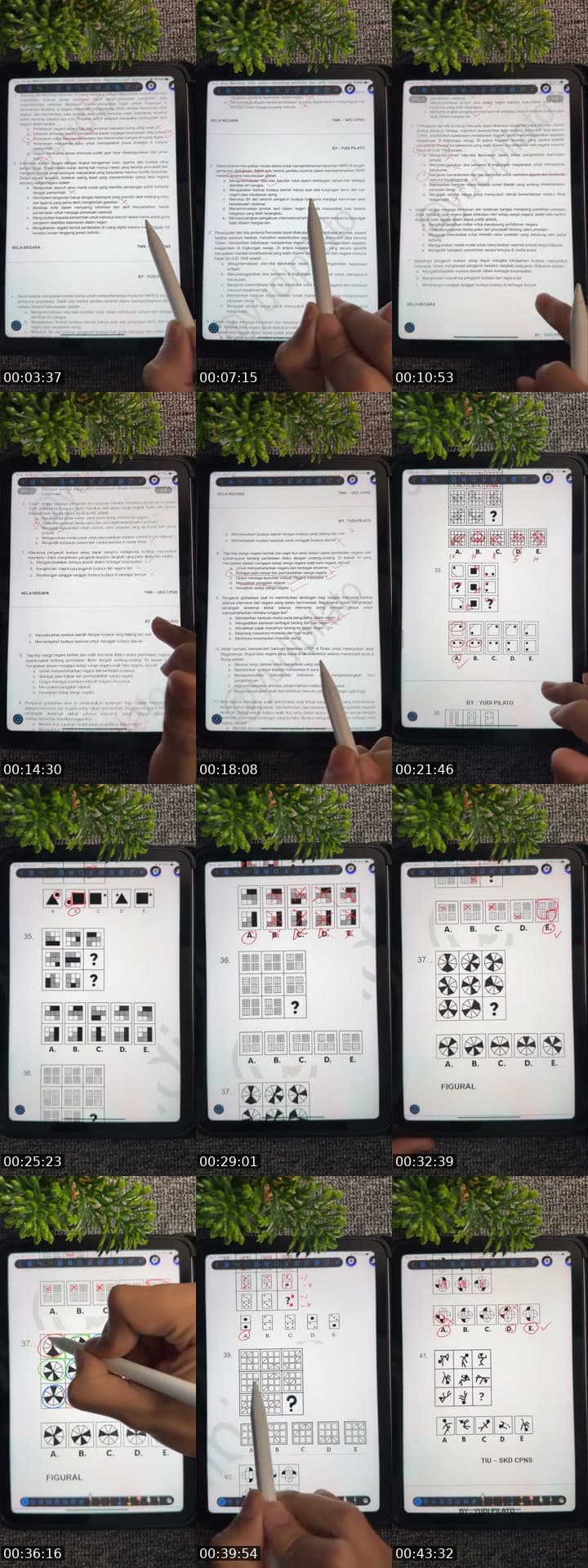 @yudipilato TikTok live stream