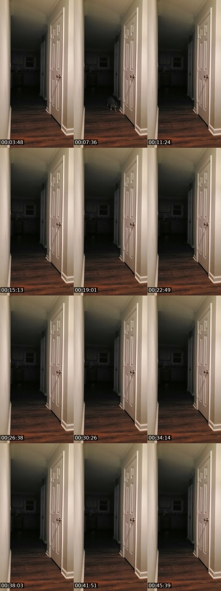 basement door watch