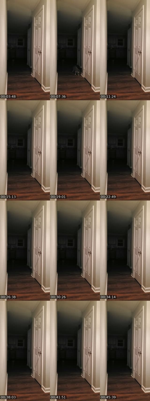 TikTok live: basement door watch by @authorkyleanthony