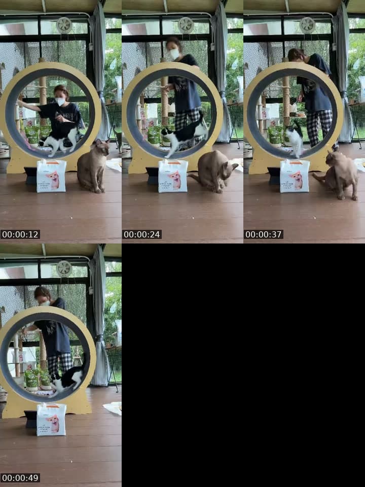 @tuazorfamily TikTok live stream