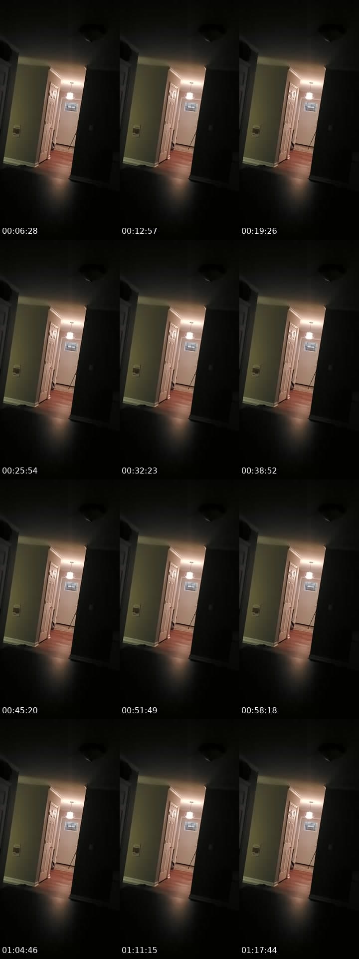 basement door watch