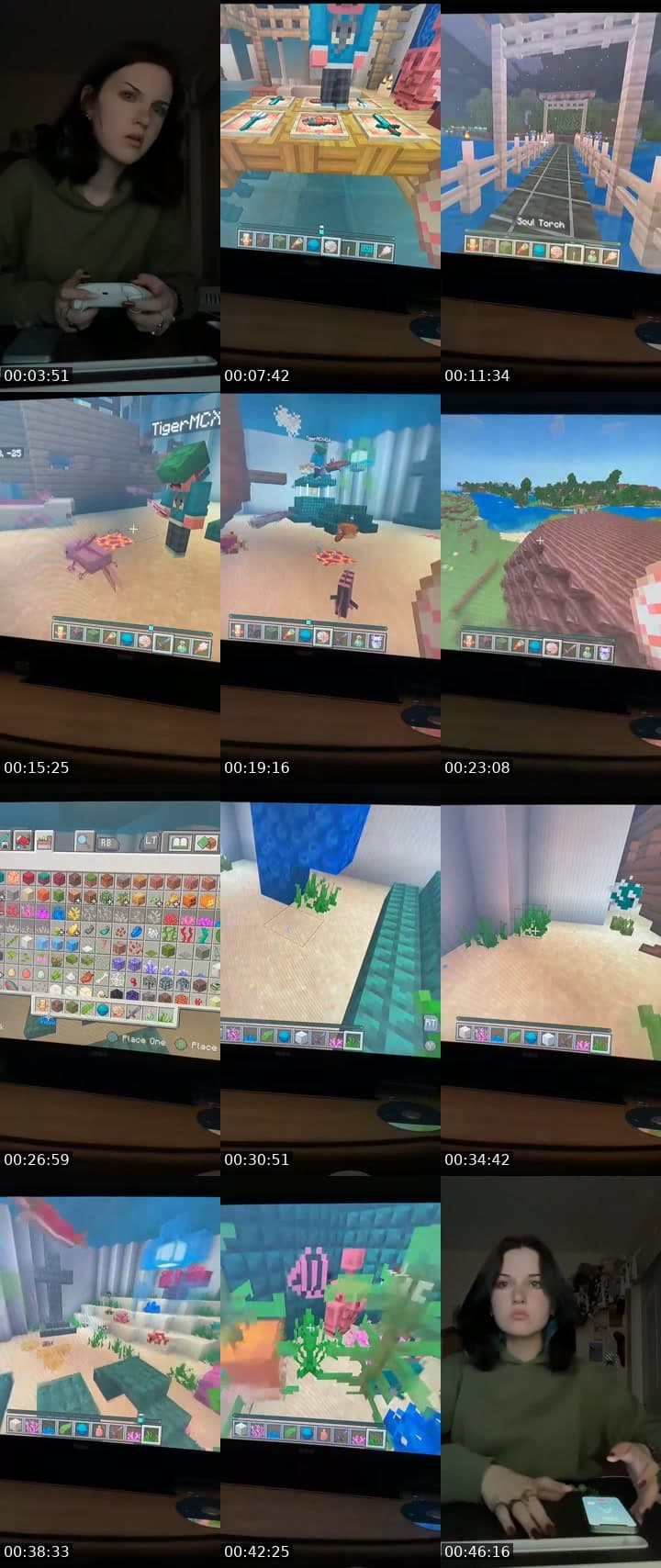 Chats  Minecraft Buildin’