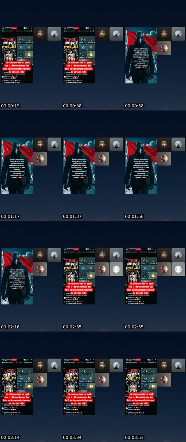 @lecorbeau003 TikTok live