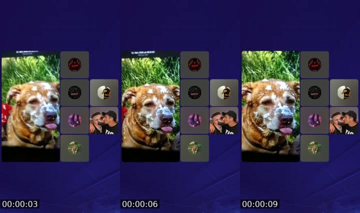 @chaotischer77 TikTok live stream