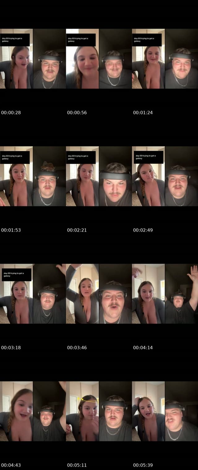 TikTok live: lion by @avasophiaa14