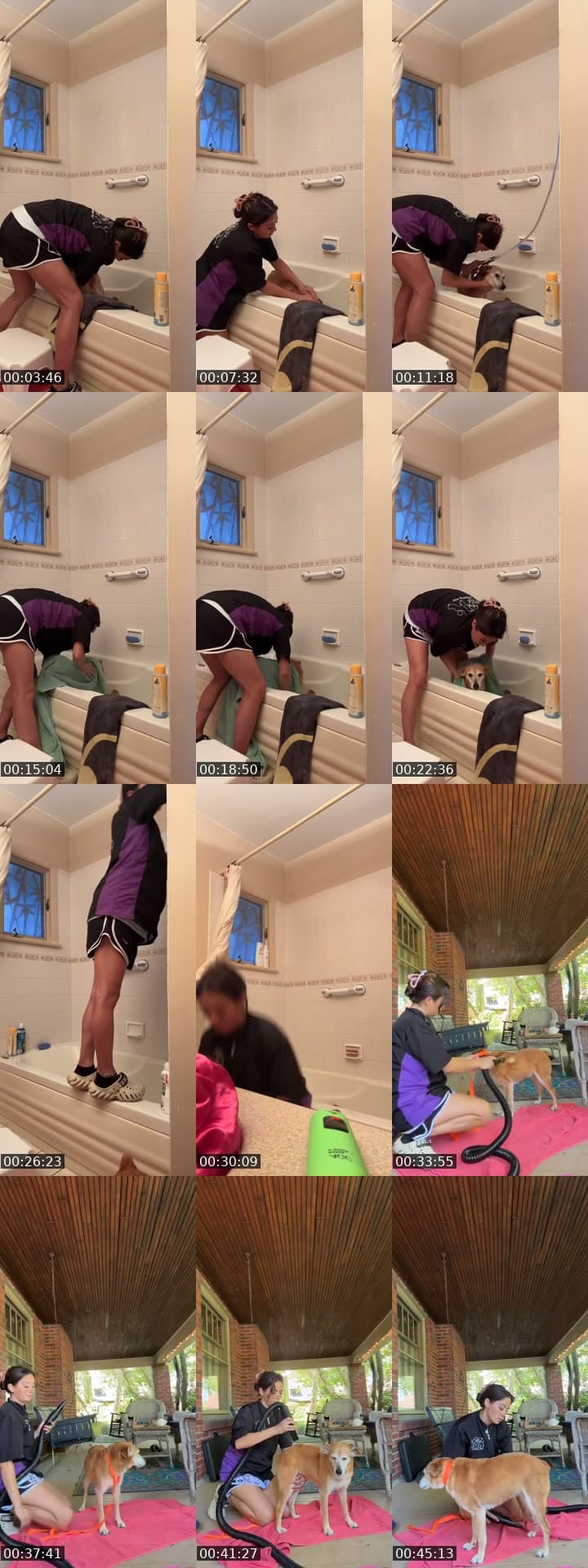 @sryforannoyingyu TikTok live stream