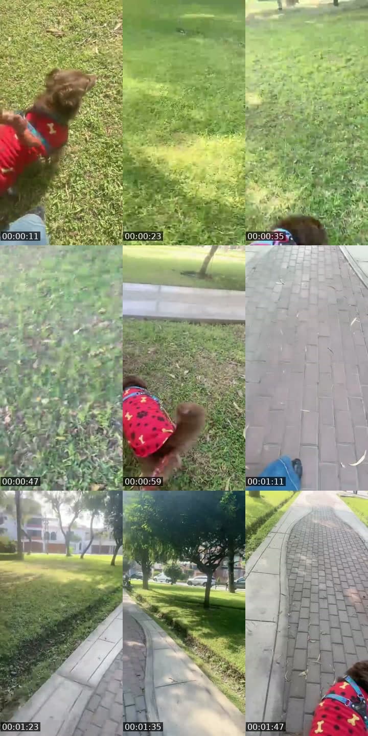 @mlhvnmiiv228 TikTok live stream