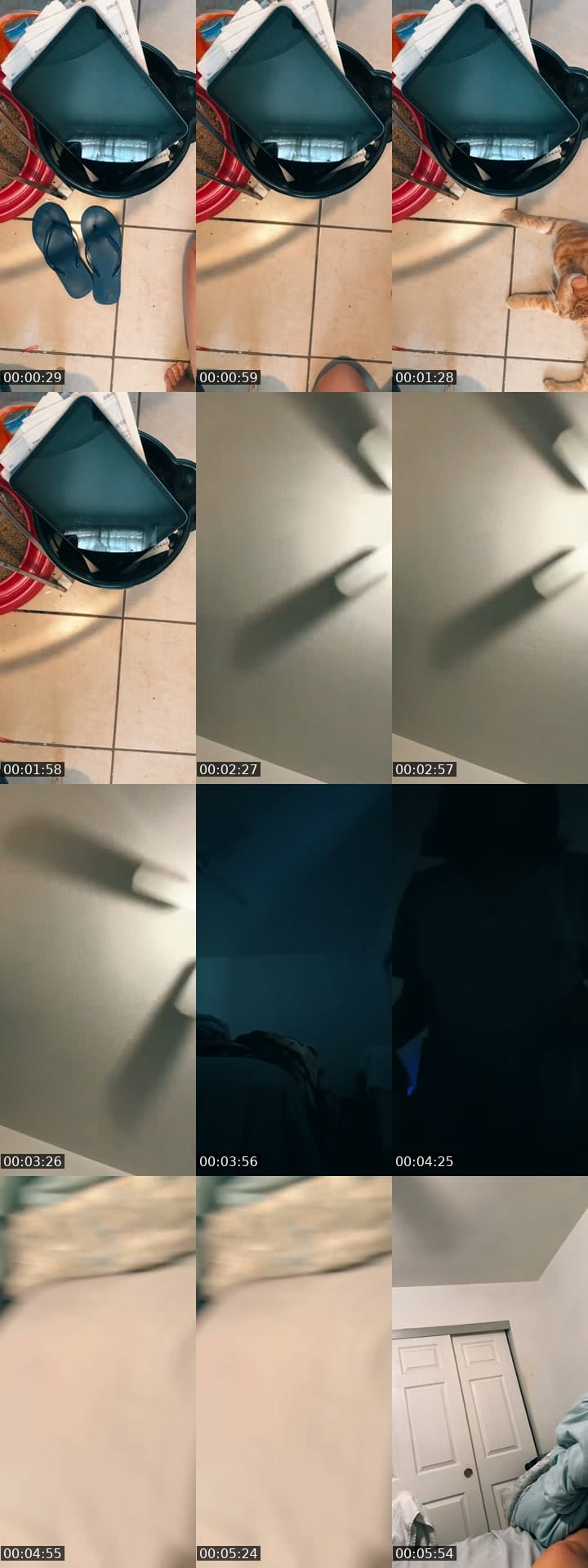@taramania12 TikTok live stream