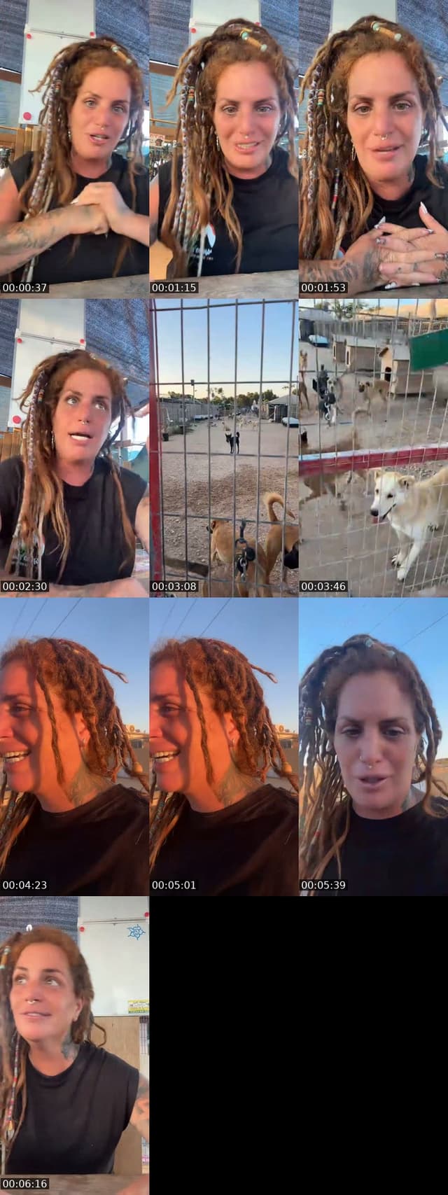 @shanti.farm.rescue TikTok live
