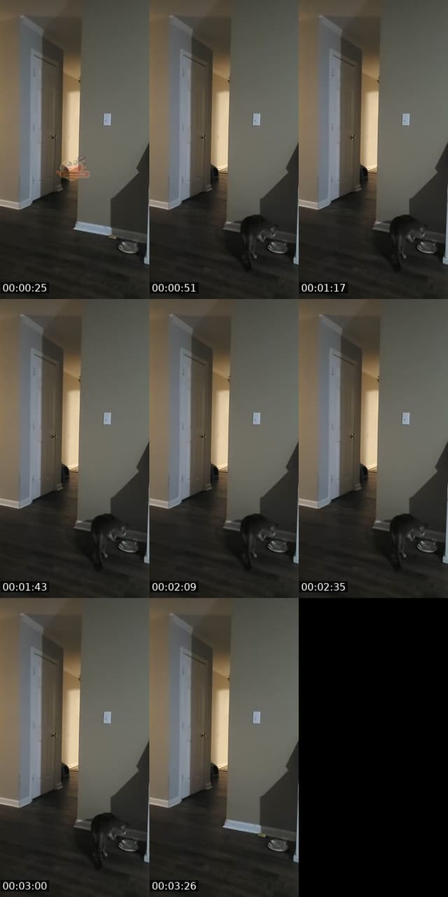TikTok live: basement door watch by @authorkyleanthony