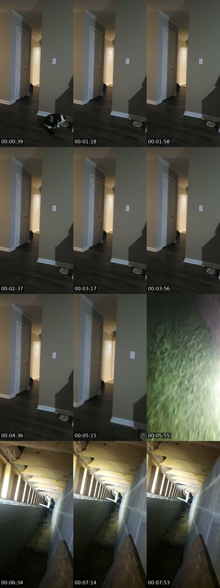 basement door watch