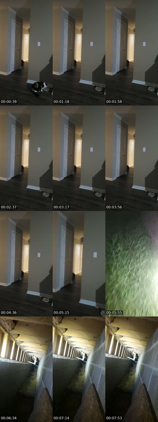 TikTok live: basement door watch by @authorkyleanthony