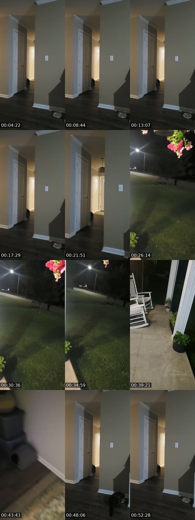 TikTok live: basement door watch by @authorkyleanthony