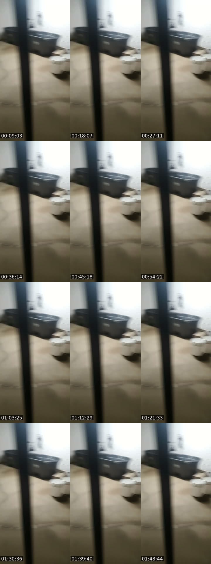 basement door watch