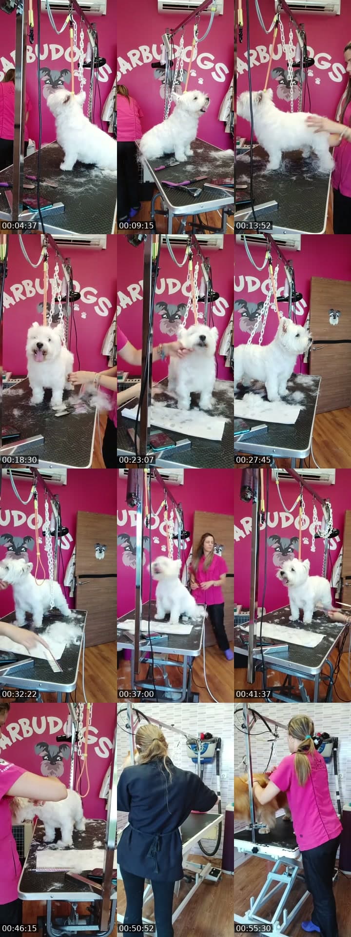 Mañaneos Barbudogs